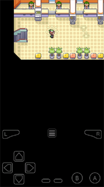 口袋妖怪節操傳奇下載